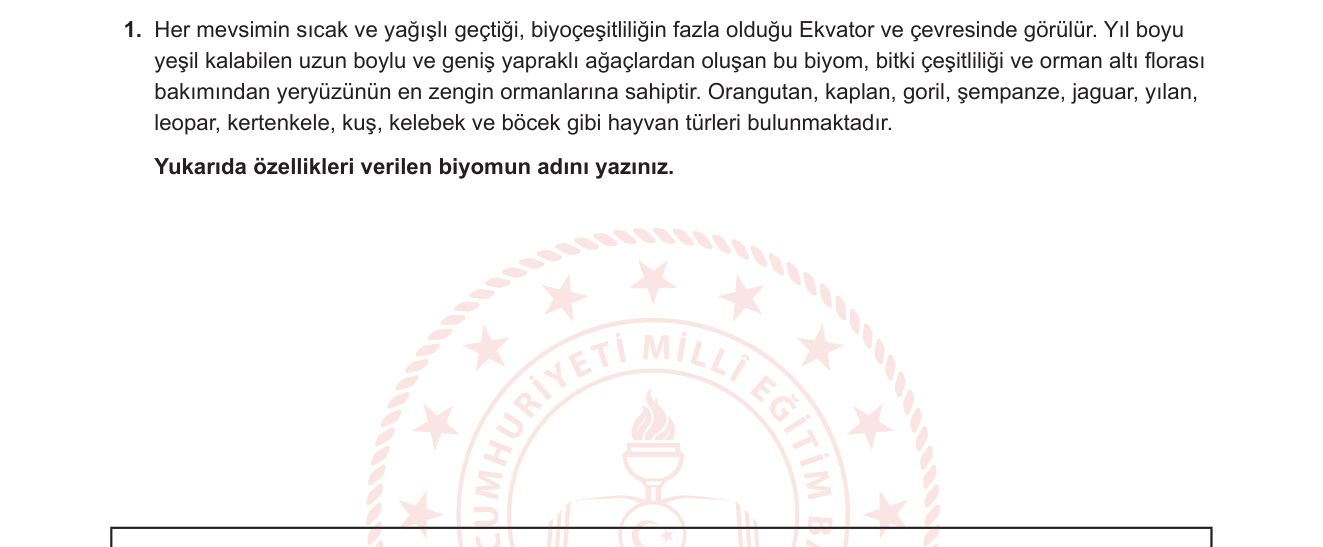 Coğrafya sorusu 1 — Biyomlar / Tropikal yağmur ormanı biyomu