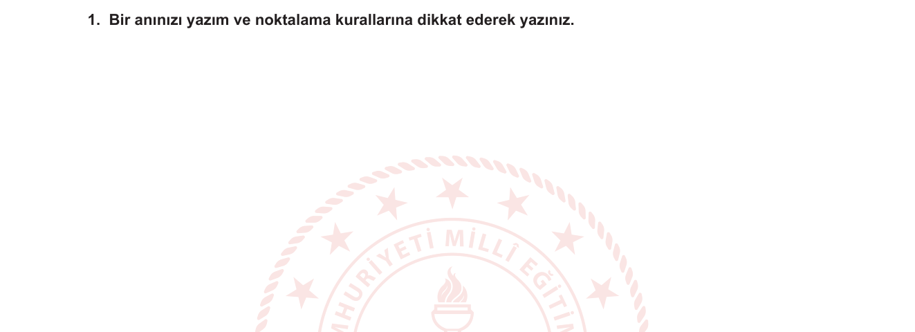 Türkçe sorusu 10 — Yazma Becerileri: Anı Türü / Yaratıcı Yazma