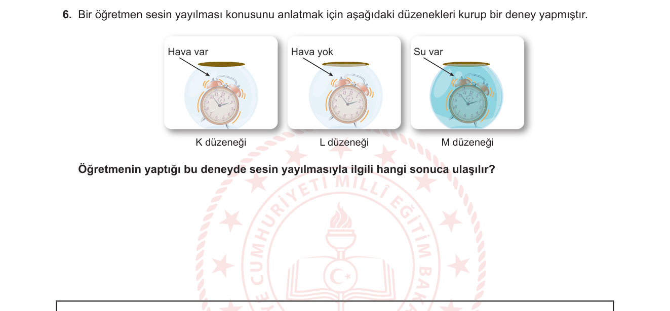 Fen Bilimleri sorusu 6 — 