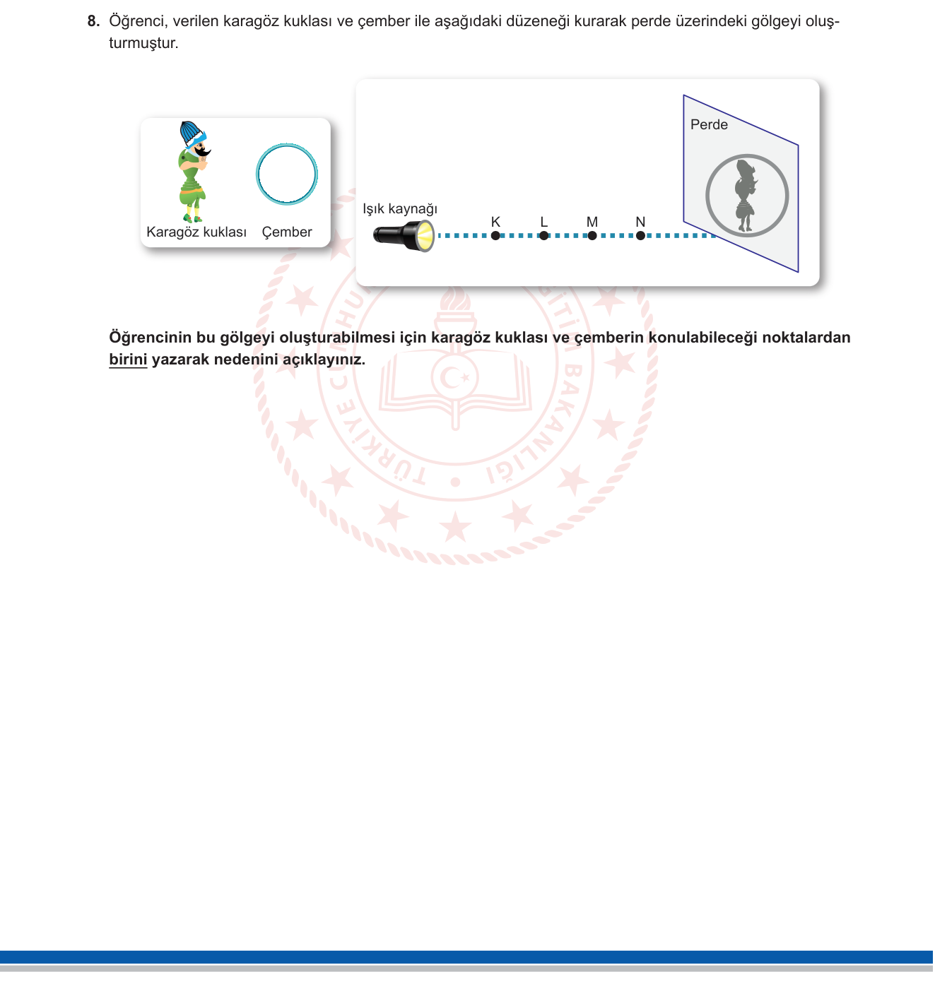 Fen Bilimleri sorusu 8 — 