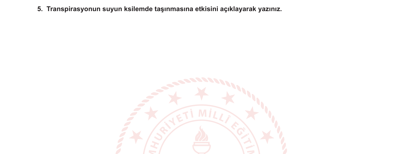 Biyoloji sorusu 12 — 