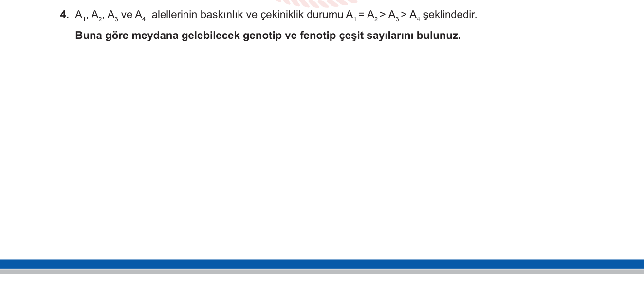 Biyoloji sorusu 4 — Çoklu aleller — genotip ve fenotip sayısı hesabı