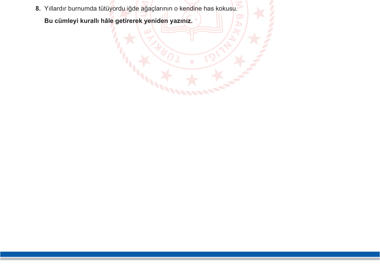 Türkçe sorusu 8 — 