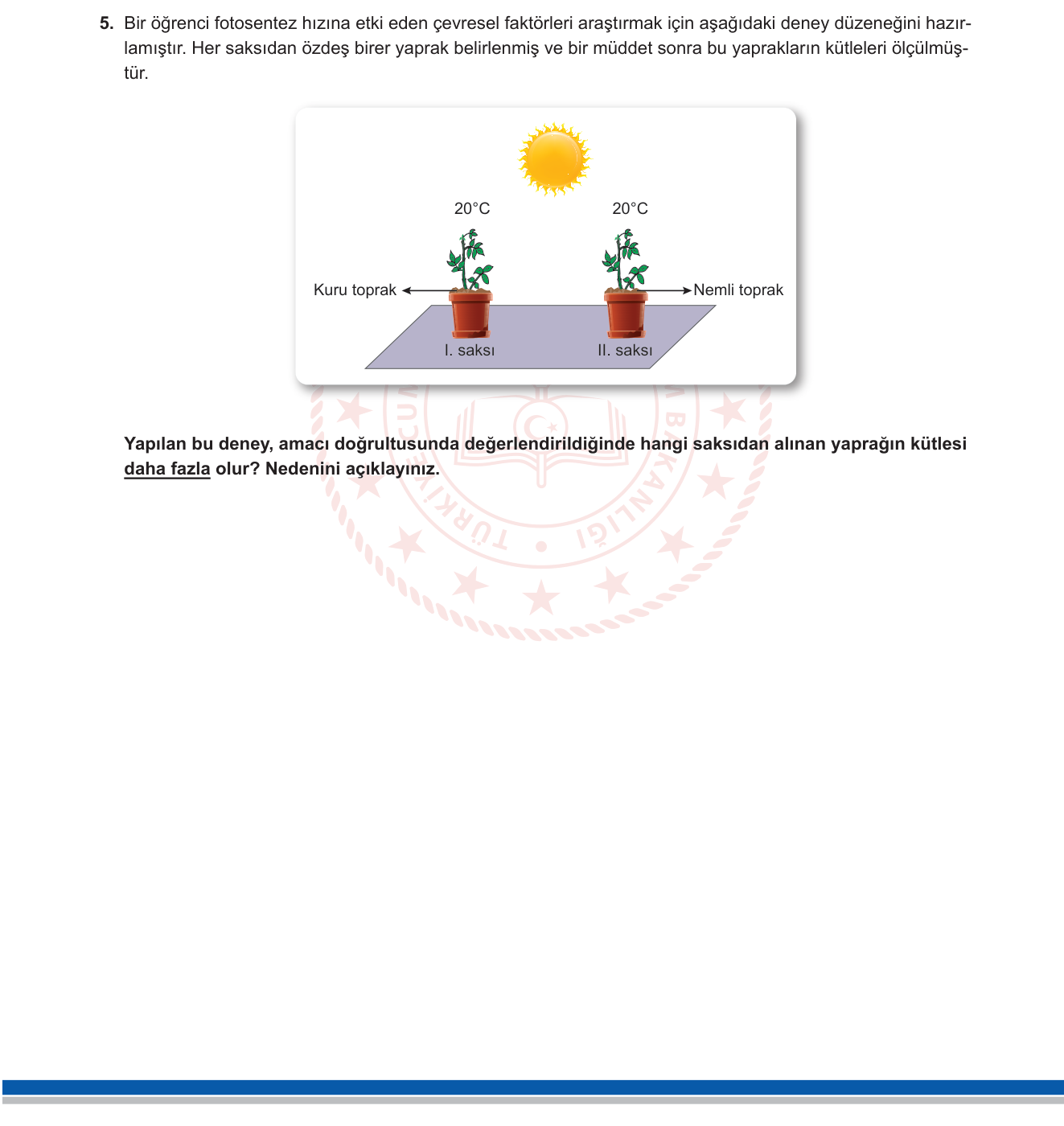 Fen Bilimleri sorusu 22 — 
