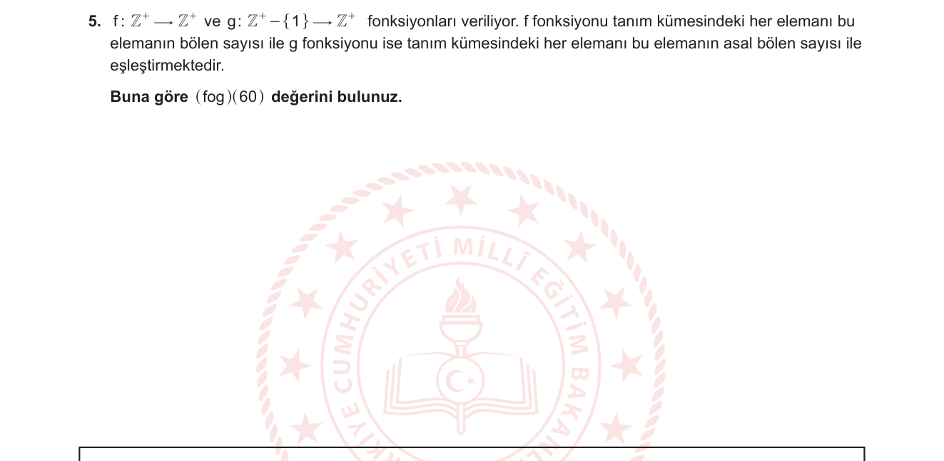 Matematik sorusu 19 — Bileşke Fonksiyon + Bölenler ve Asal Çarpanlar