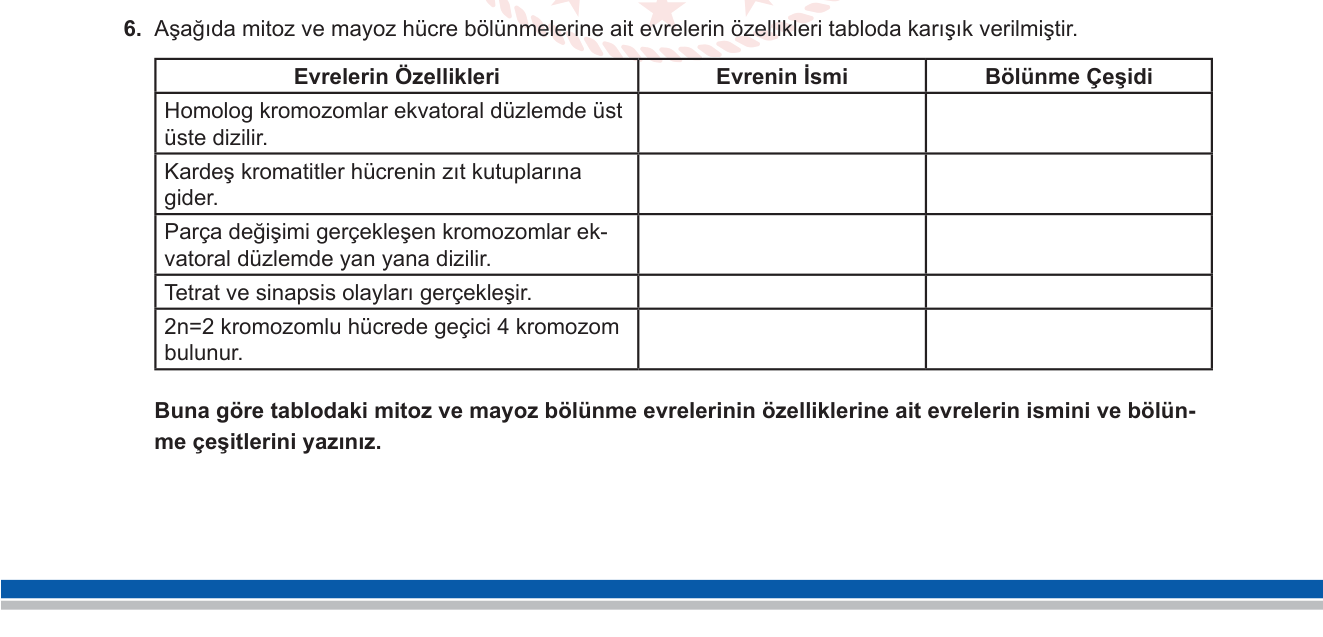 Biyoloji sorusu 6 — Mitoz ve mayoz bölünme evre özellikleri karşılaştırması