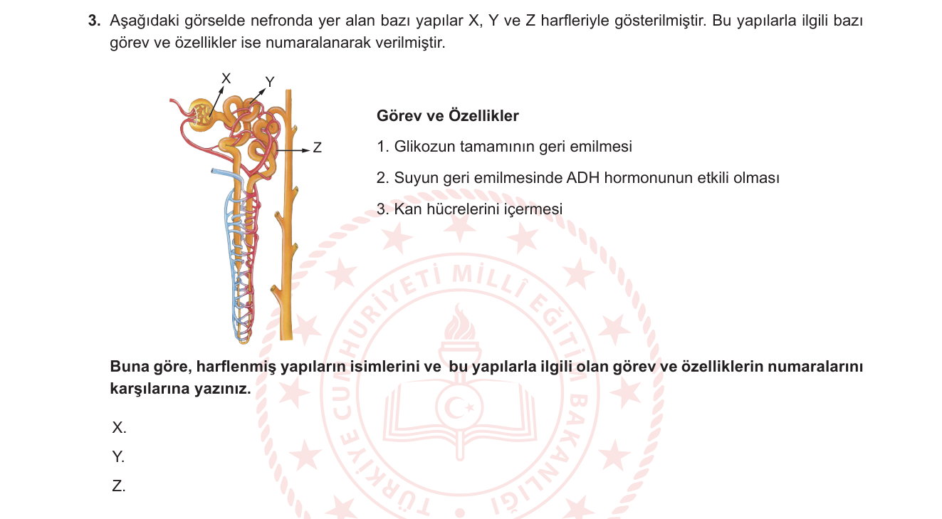 Biyoloji sorusu 41 — 
