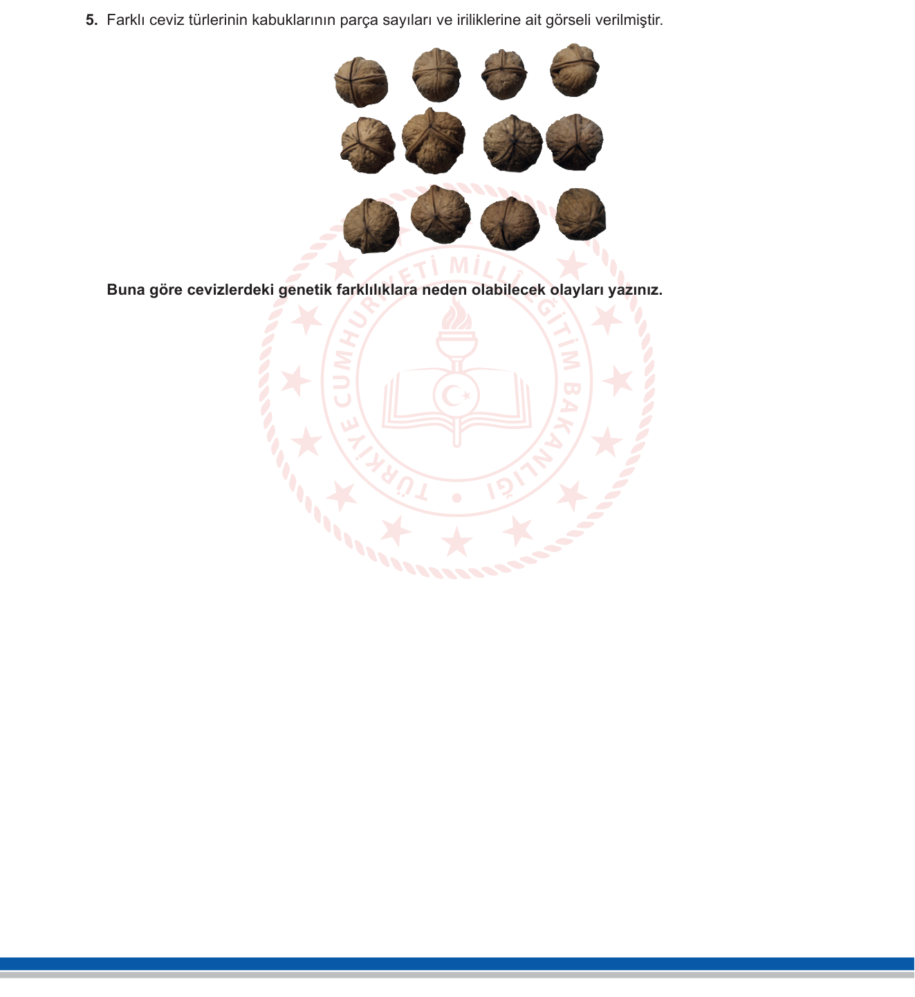 Biyoloji sorusu 23 — 