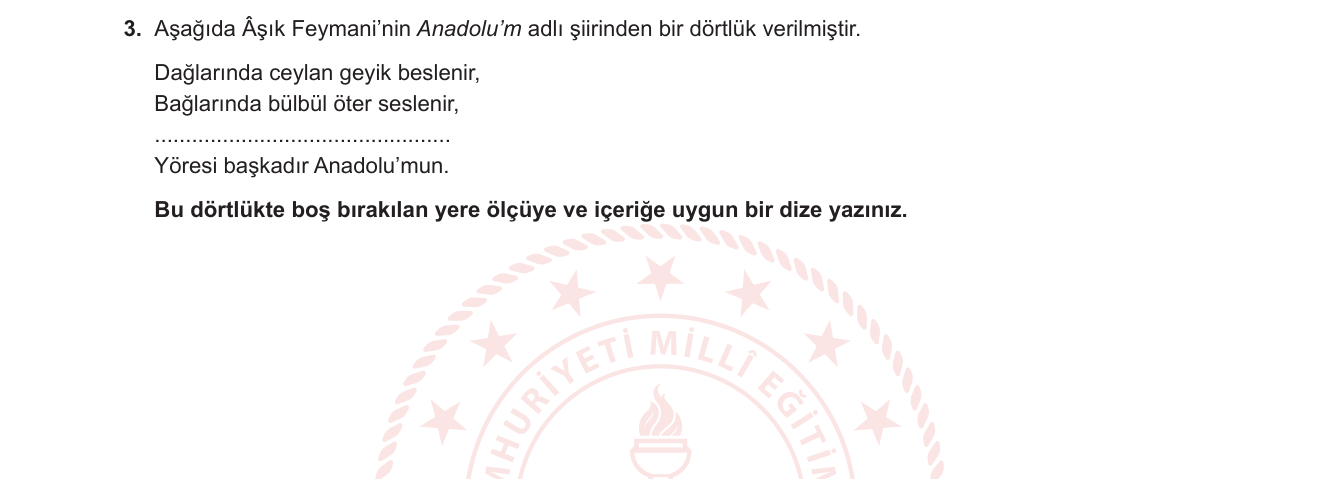 Türk Dili ve Edebiyatı sorusu 12 — 