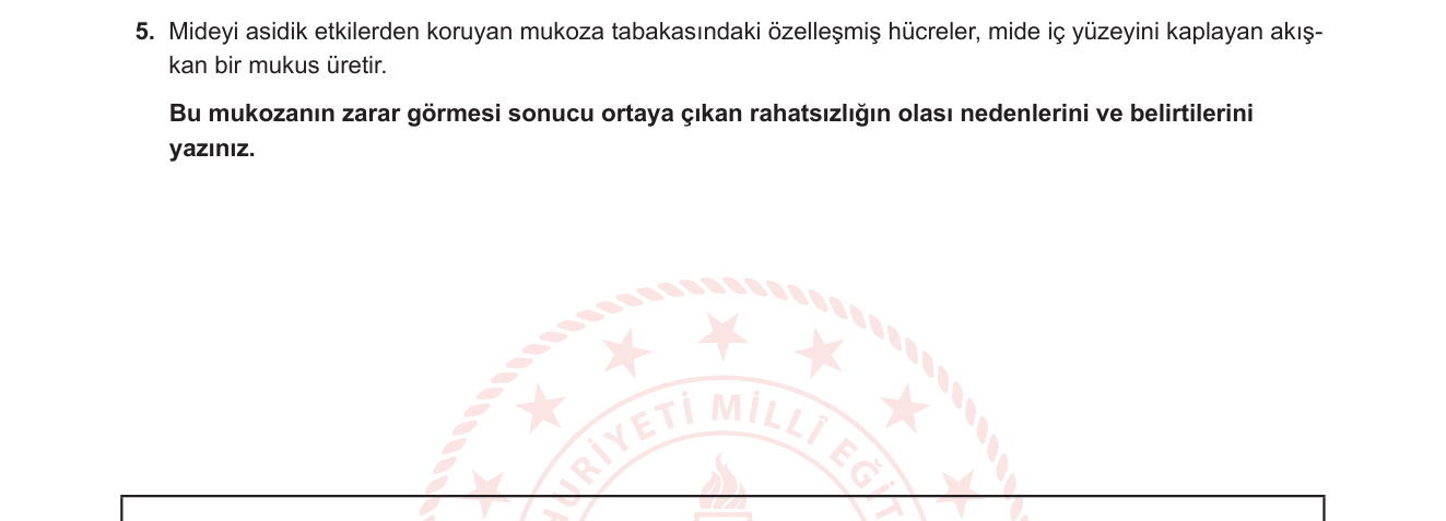 Biyoloji sorusu 5 — Sindirim Sistemi — Mide Yapısı ve Koruyucu Mekanizmalar (11. sınıf Biyoloji)