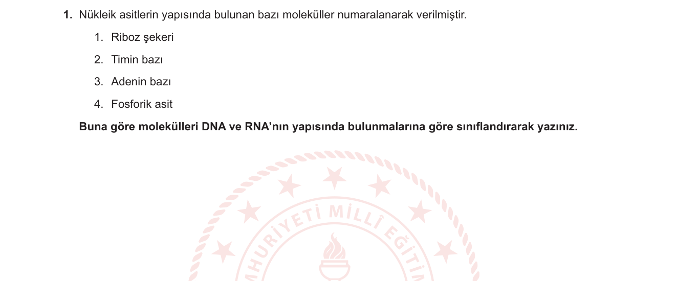 Biyoloji sorusu 11 — DNA ve RNA yapısı — nükleotit bileşenleri, şeker ve baz farklılıkları