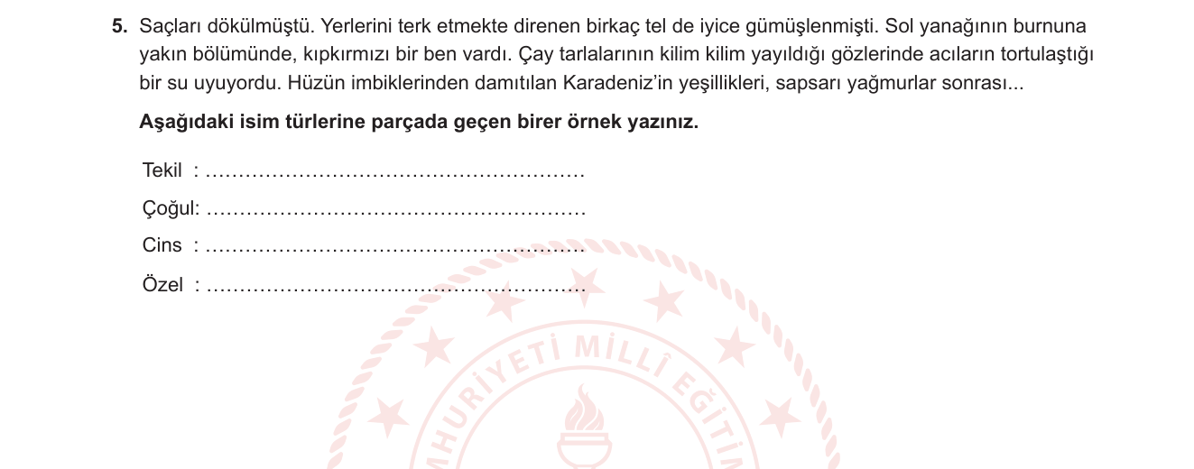 Türk Dili ve Edebiyatı sorusu 9 — İsim (ad) türleri: tekil-çoğul, cins-özel isim