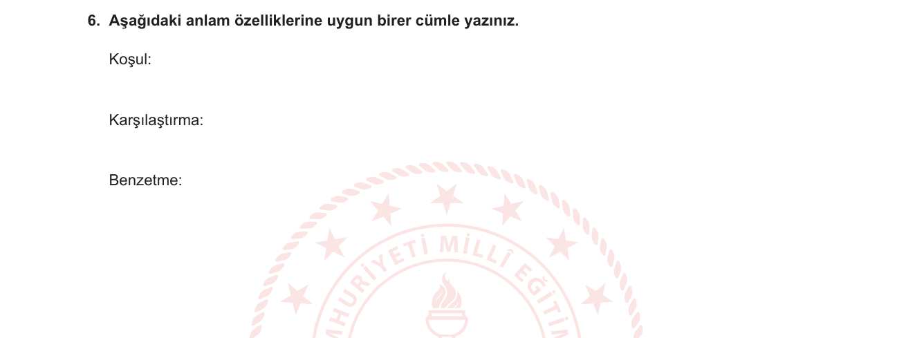 Türkçe sorusu 27 — 