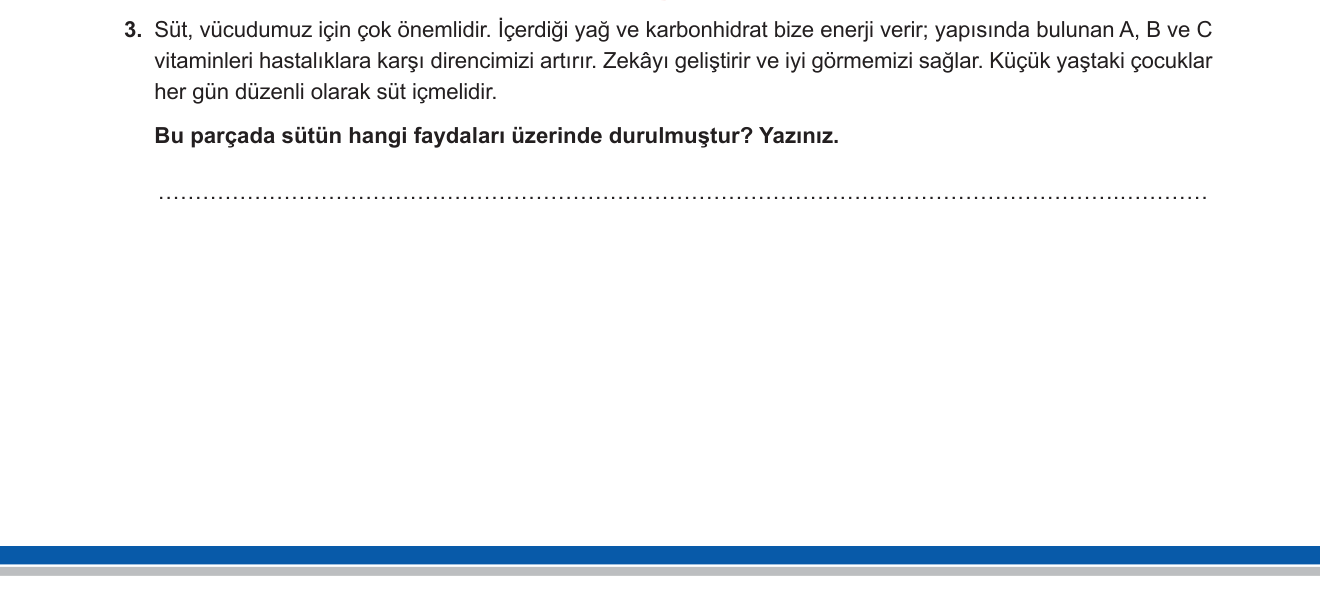 Türkçe sorusu 3 — 