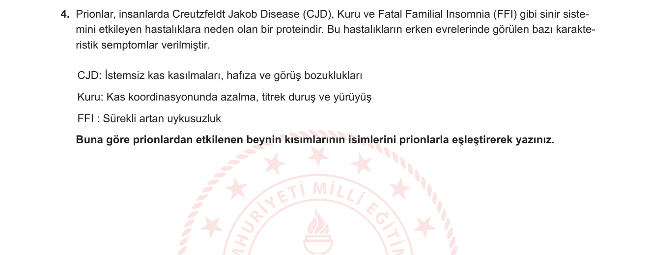 Biyoloji sorusu 4 — Sinir sistemi — Beyin bölgeleri ve işlevleri; Prion hastalıkları