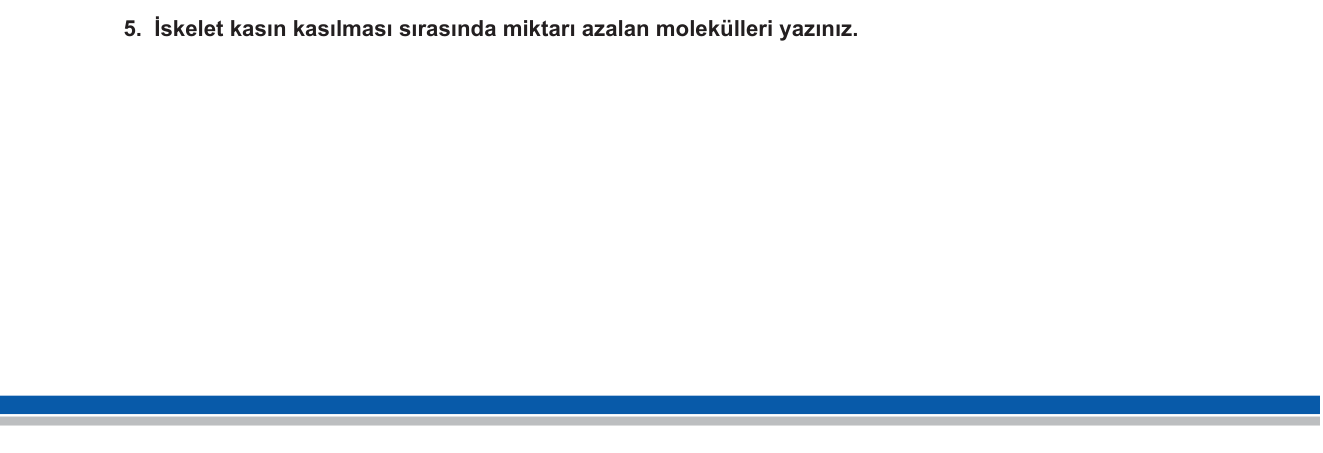 Biyoloji sorusu 5 — Hareket Sistemi — Kas Kasılması, Enerji Kaynakları