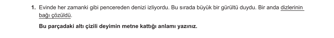 Türkçe sorusu 22 — 