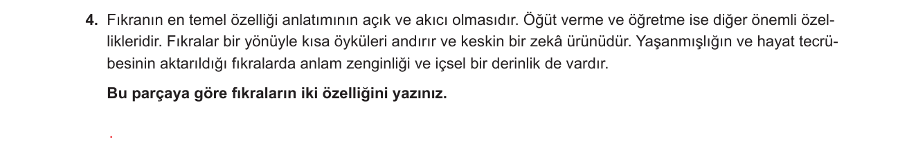 Türkçe sorusu 19 — 