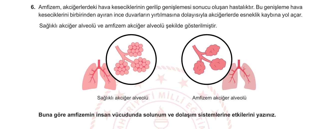 Biyoloji sorusu 23 — 