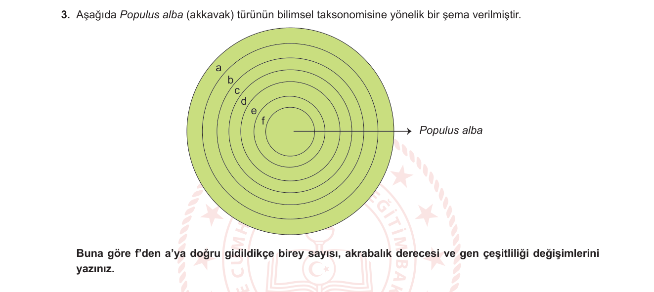 Biyoloji sorusu 36 — 