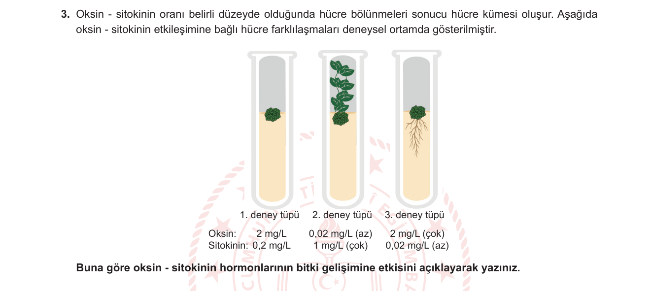 Biyoloji sorusu 25 — 