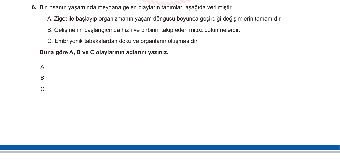 Biyoloji sorusu 13 — 