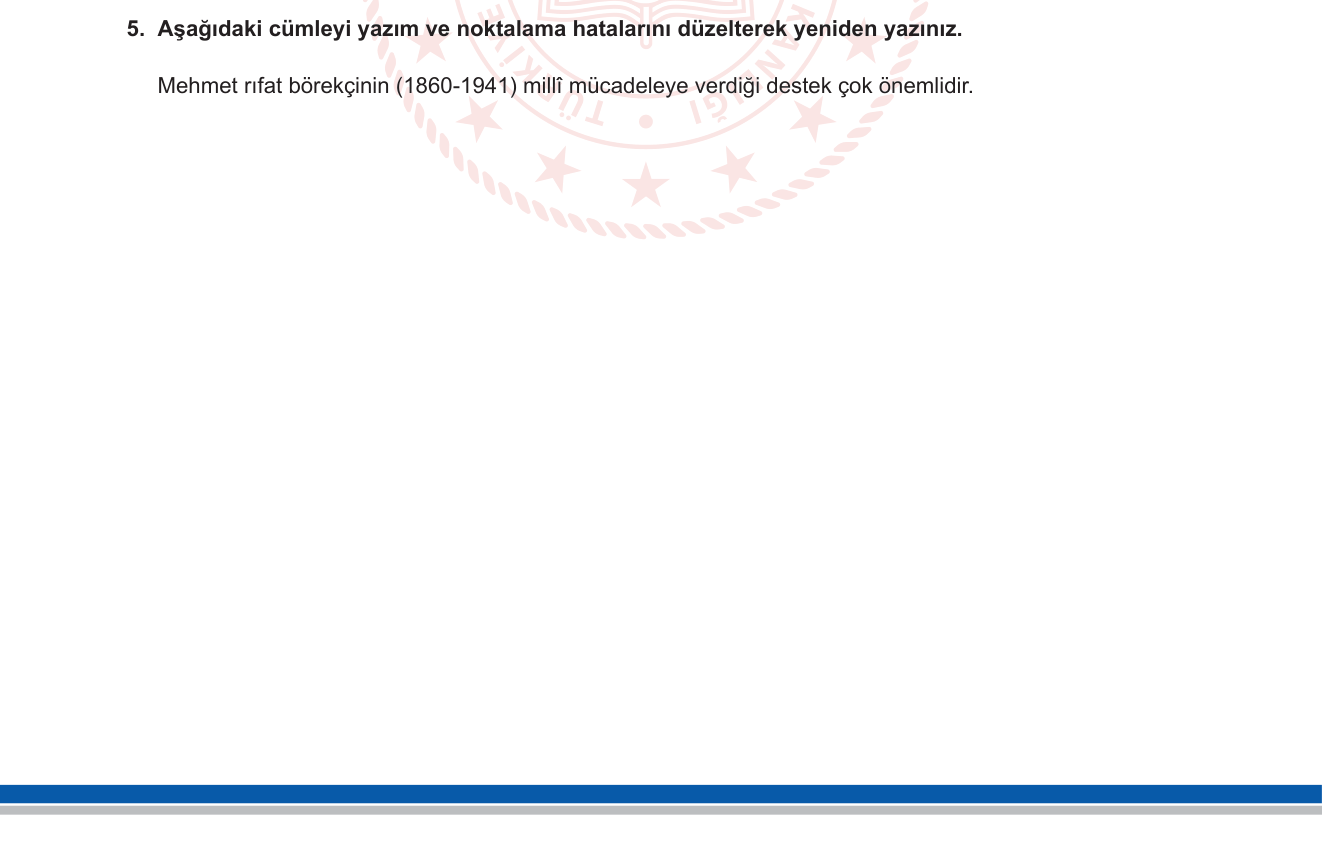 Türkçe sorusu 5 — 
