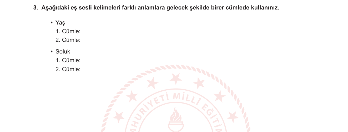 Türkçe sorusu 17 — 