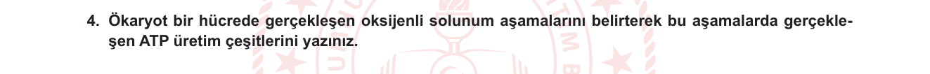 Biyoloji sorusu 20 — 