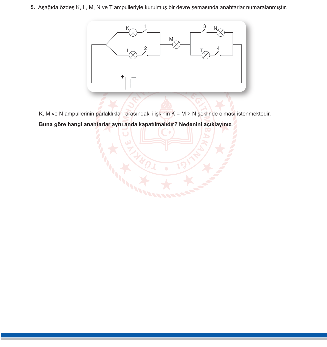 Fen Bilimleri sorusu 28 — 