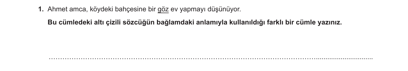Türkçe sorusu 13 — 