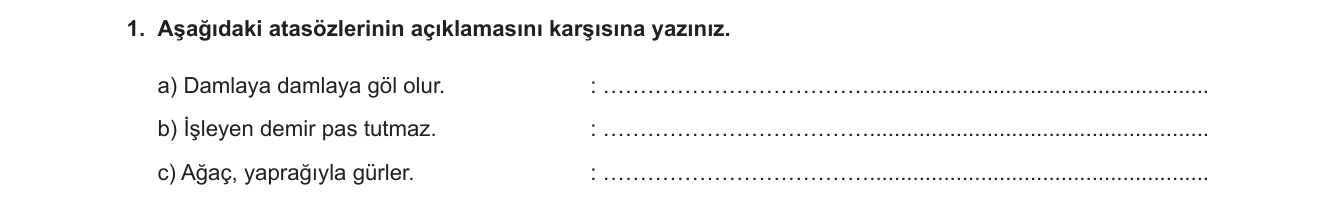 Türkçe sorusu 12 — Atasözleri — anlam ve yorum