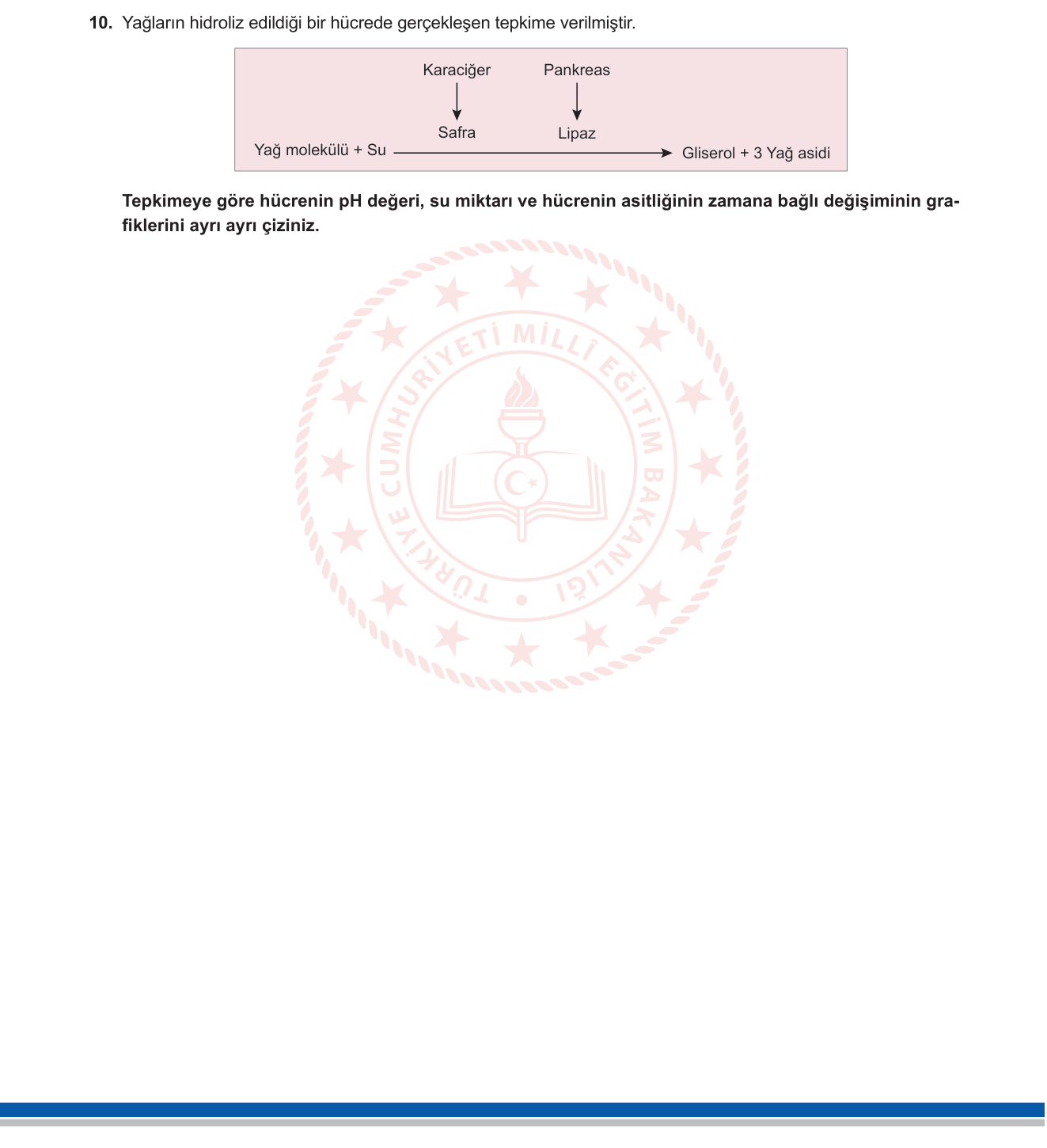 Biyoloji sorusu 28 — Sindirim Sistemi — Yağların Kimyasal Sindirimi / Hidroliz / Grafik Yorumlama