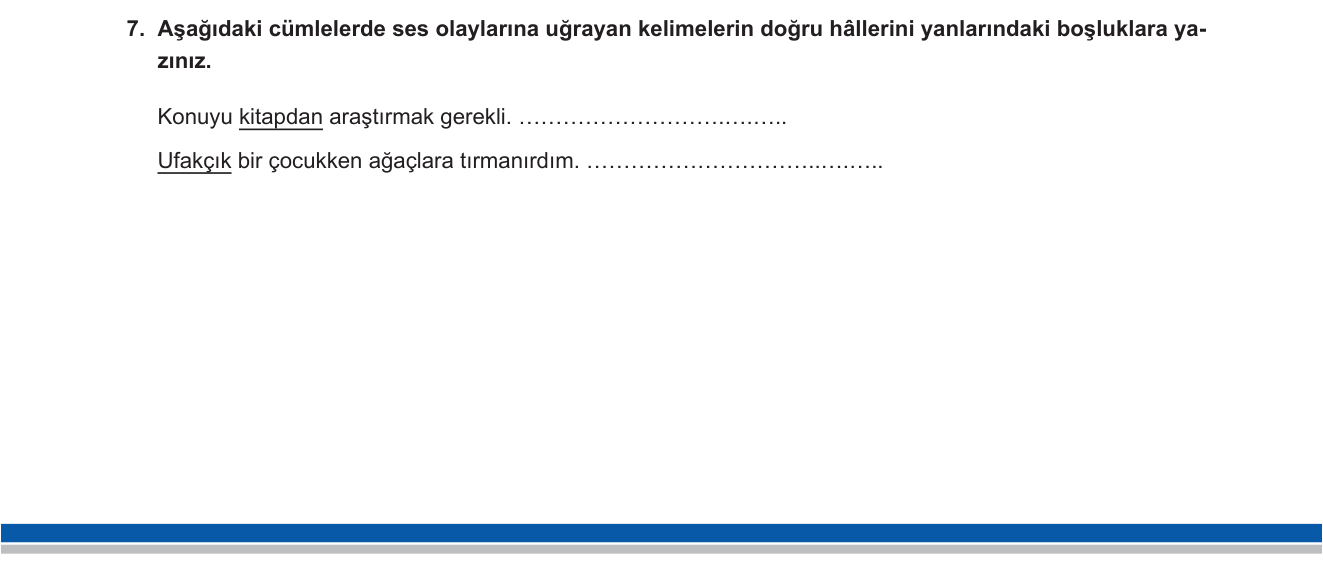 Türkçe sorusu 27 — 