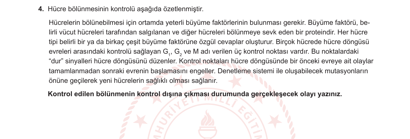 Biyoloji sorusu 11 — Hücre döngüsü kontrolü ve kanser