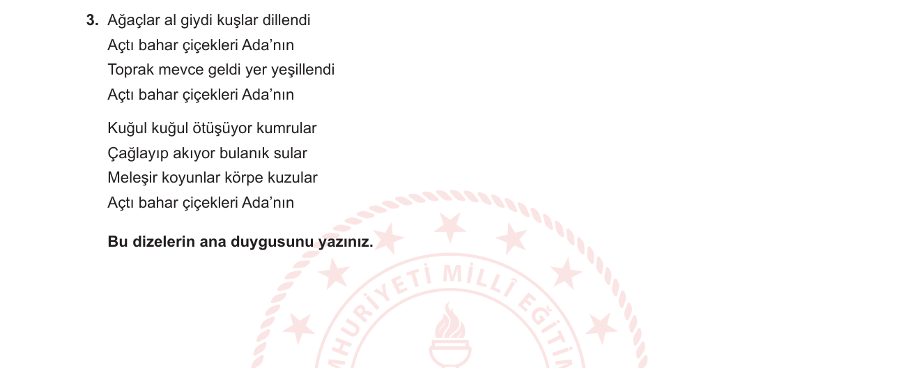 Türkçe sorusu 39 — 