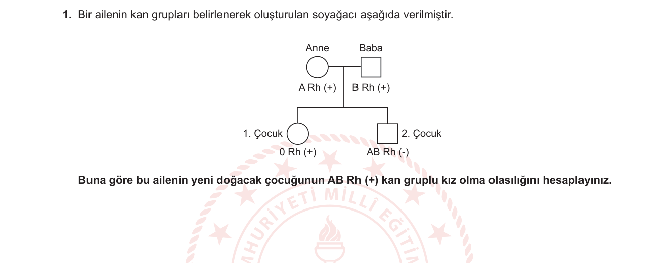Biyoloji sorusu 42 — 