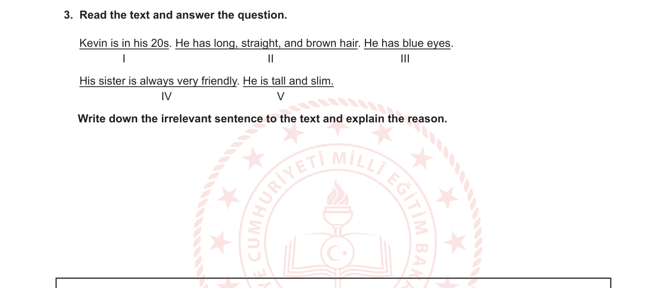 İngilizce sorusu 4 — Reading Comprehension — Irrelevant Sentence / Text Coherence (Metin Bütünlüğü)