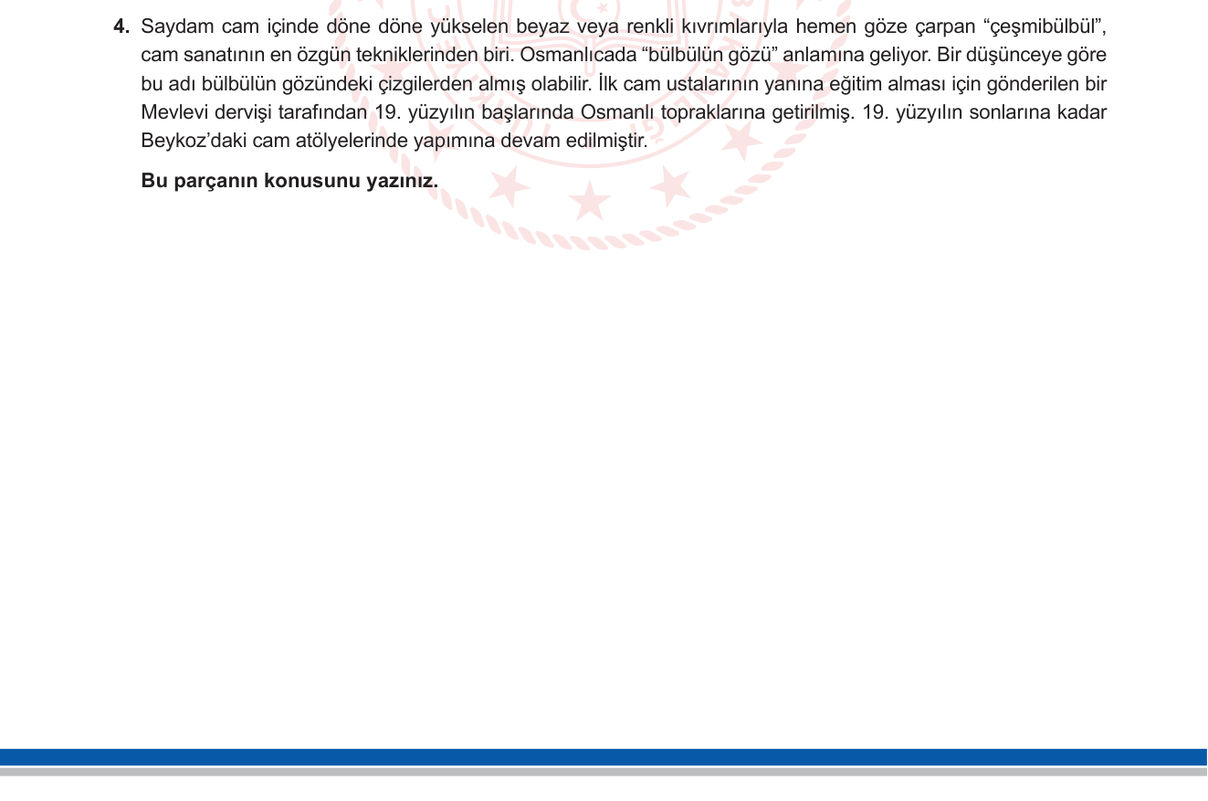 Türkçe sorusu 3 — 