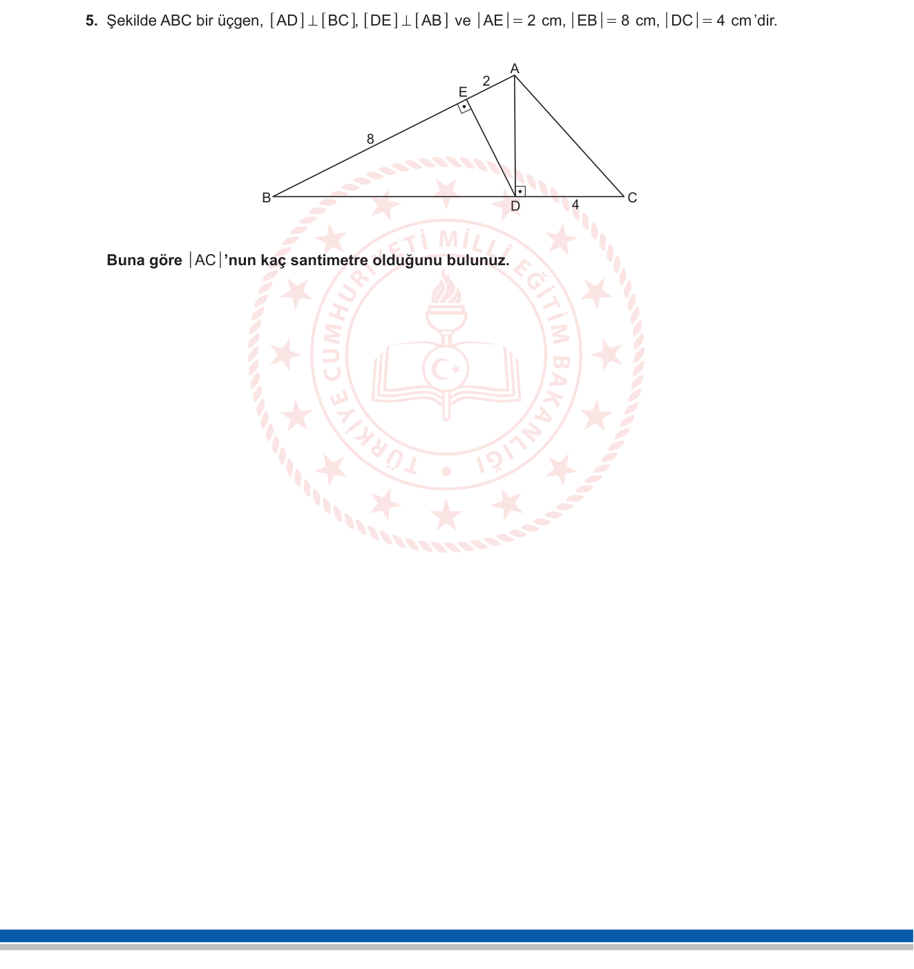 Matematik sorusu 12 — 