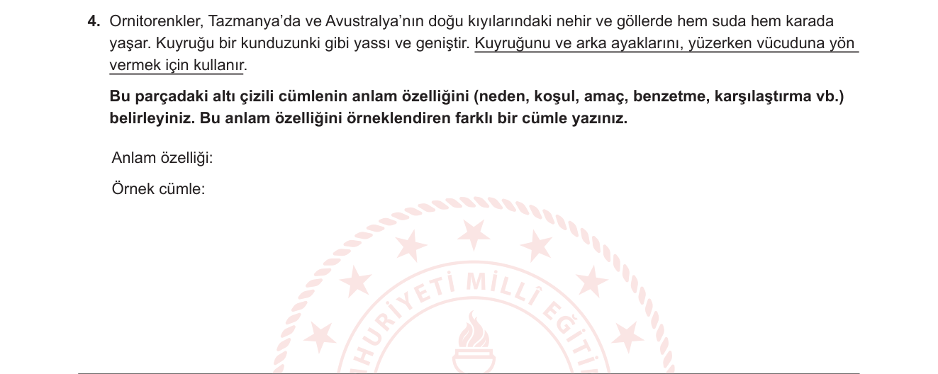 Türkçe sorusu 21 — 