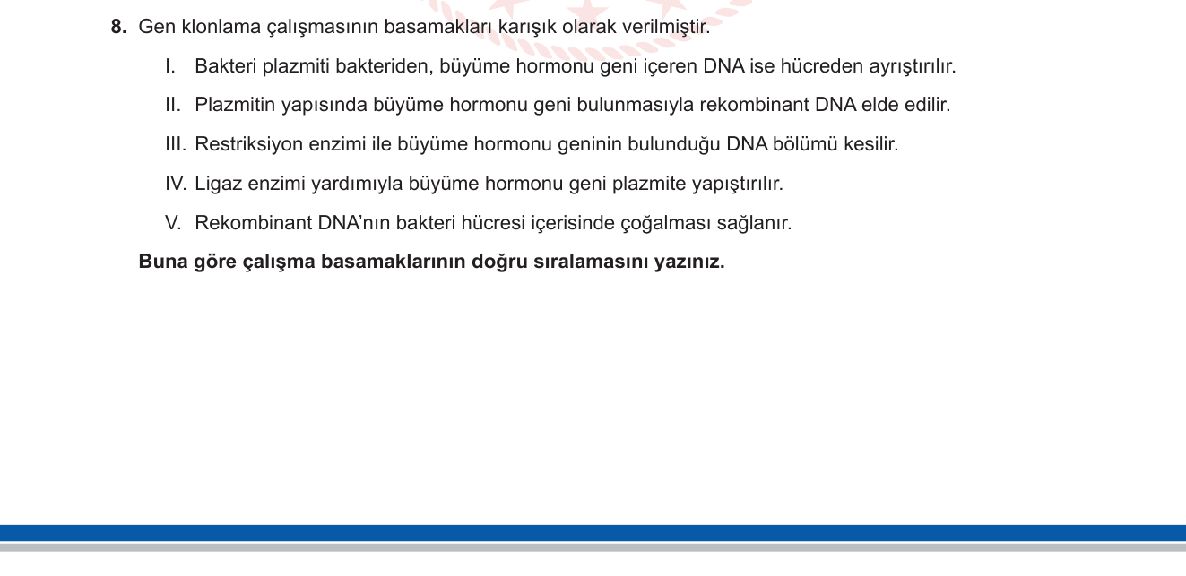 Biyoloji sorusu 25 — Gen Mühendisliği — Gen Klonlama Basamakları
