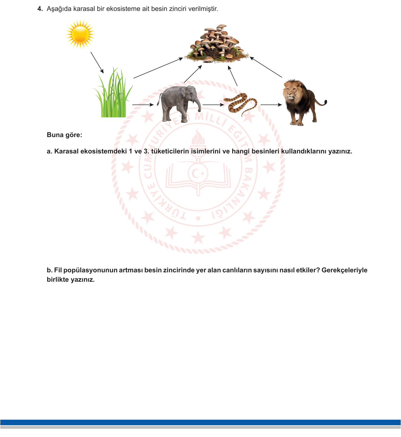 Biyoloji sorusu 49 — 