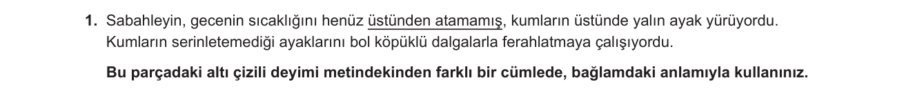 Türkçe sorusu 25 — 