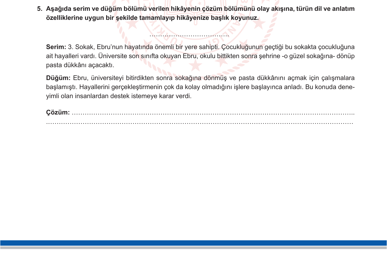 Türkçe sorusu 35 — 