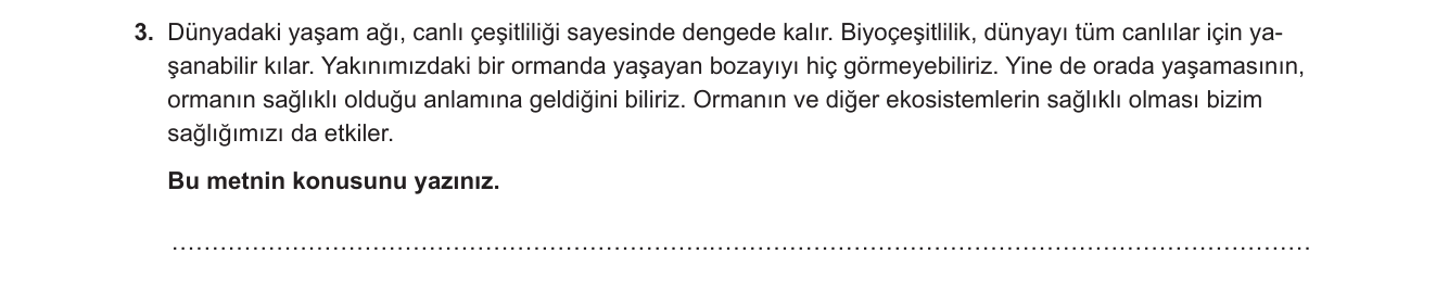 Türkçe sorusu 8 — 