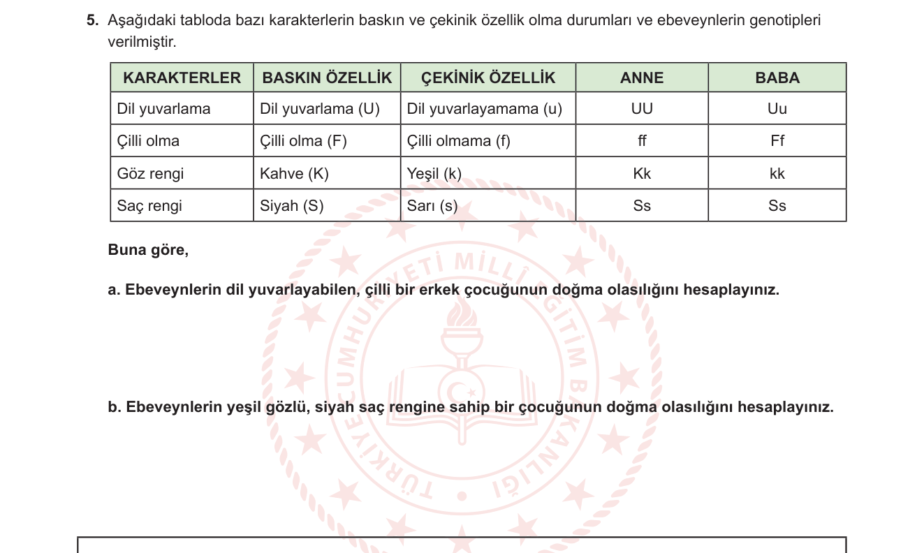 Biyoloji sorusu 5 — Kalıtım — Dihidrit Çaprazlama, Olasılık Hesaplama, Bağımsız Dağılım