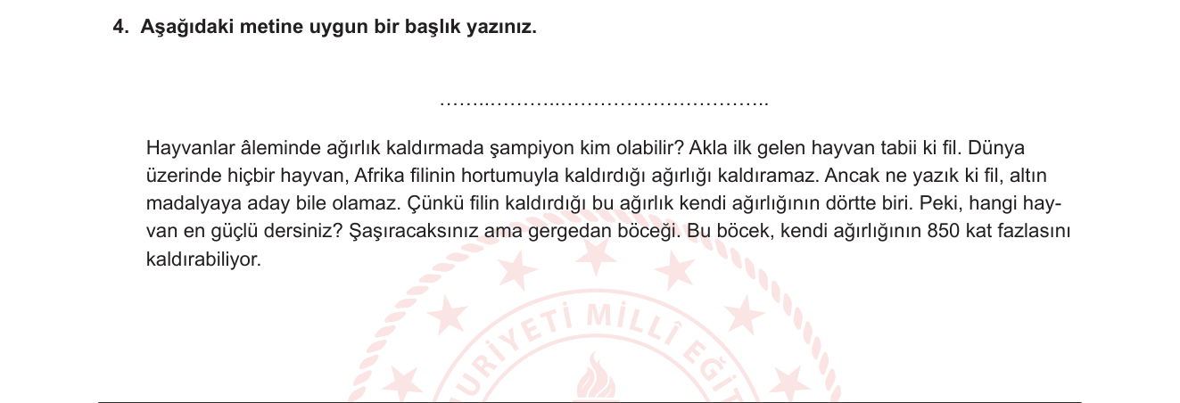 Türkçe sorusu 10 — 