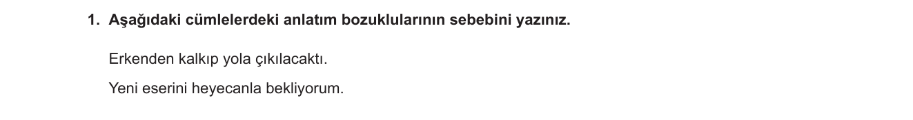 Türkçe sorusu 47 — 