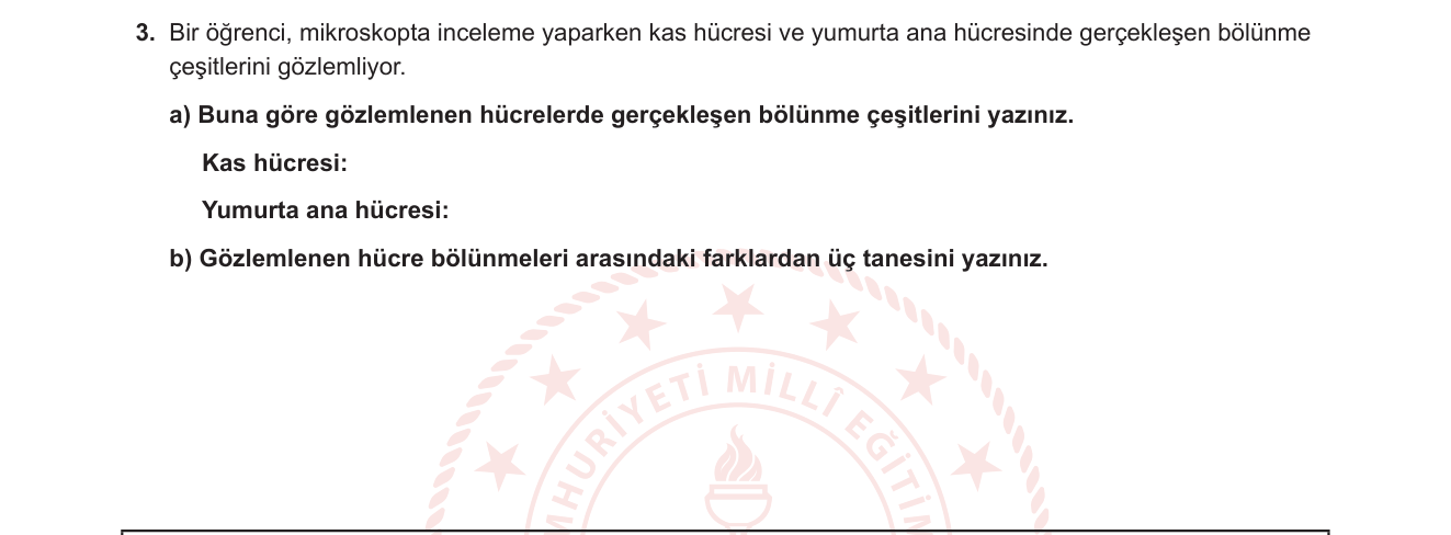 Fen Bilimleri sorusu 12 — Hücre Bölünmesi / Mitoz ve Mayoz